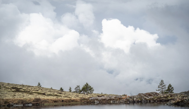 Noordse landschappen