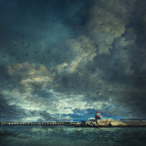 Zicht op de Noordpier